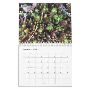 Calendrier photo graphique
