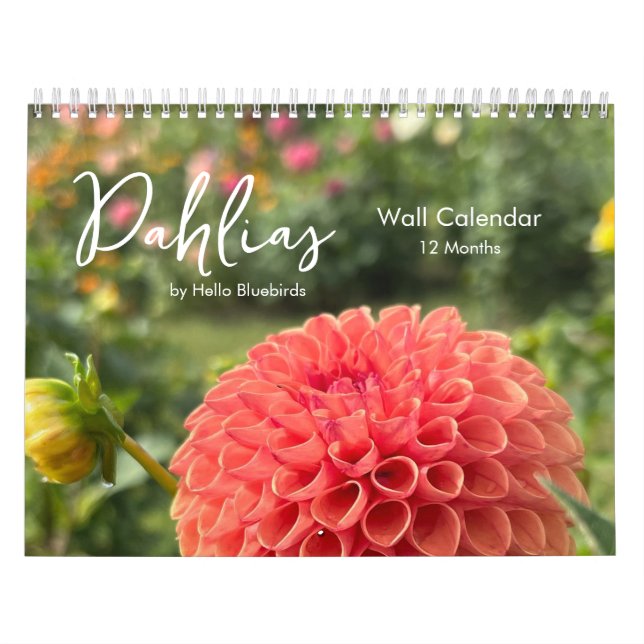 Calendrier photo inspirant de dahlias (Protection)