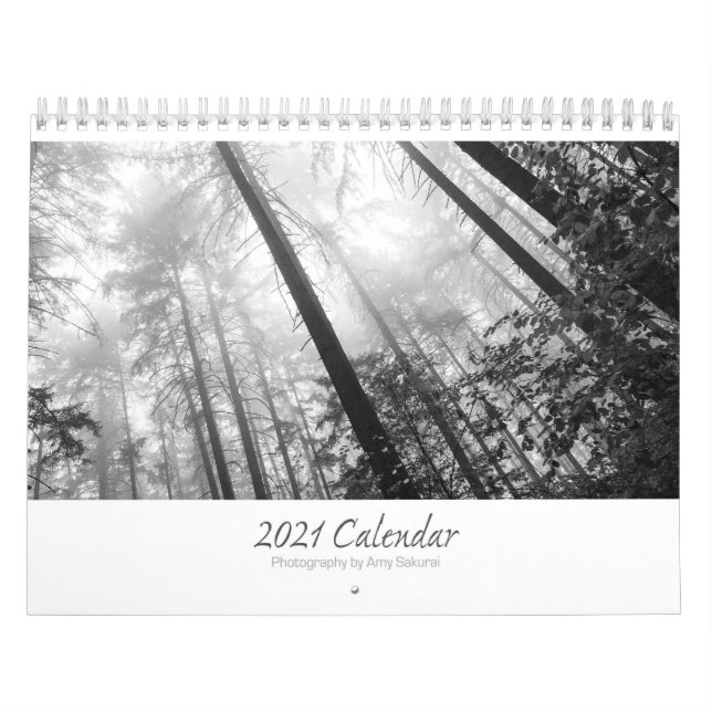 Calendrier photo monochrome 2021 d'Amy (Protection)