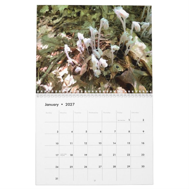 Calendrier photo personnalisable sur deux pages mo (Jan 2027)