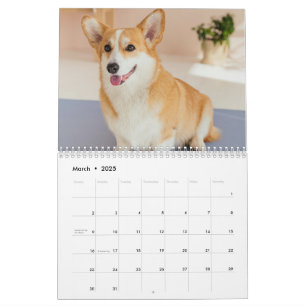 Calendrier photo personnalisé de Chien de Corgi de