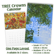 Photo Tree Crowns - long