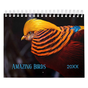 Calendrier Photographie 2019 extraordinaire d'OISEAUX