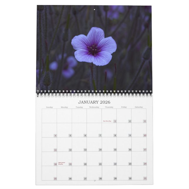 Calendrier Photographie de beaux-arts - 2013 (Jan 2026)