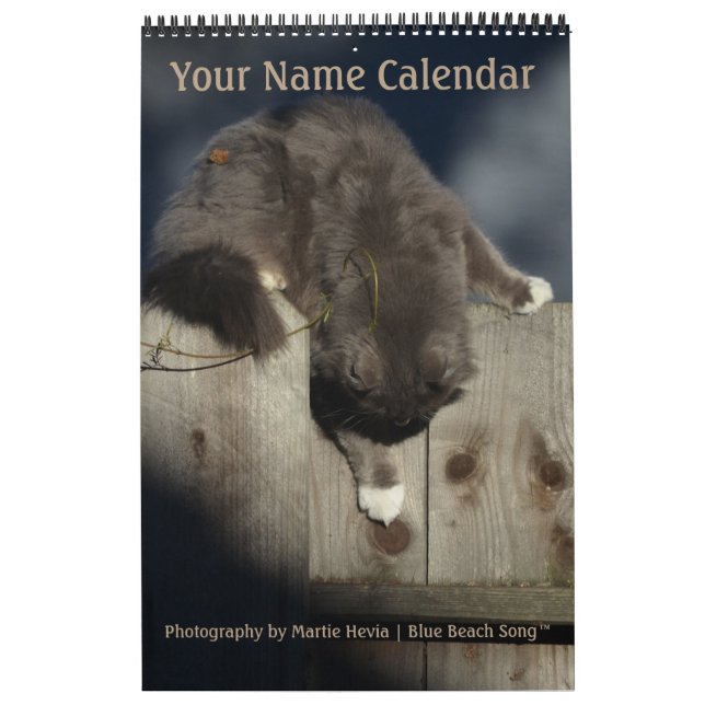 Calendrier Photographie de Blue Beach Song™ (Protection)