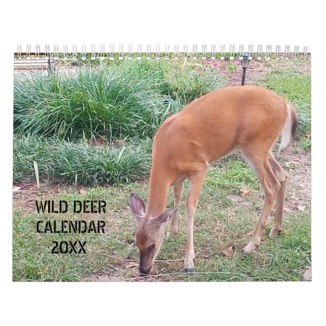 Calendrier Photographie de cerfs sauvages (Protection)