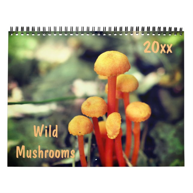 Calendrier Photographie de champignons sauvages  (Protection)