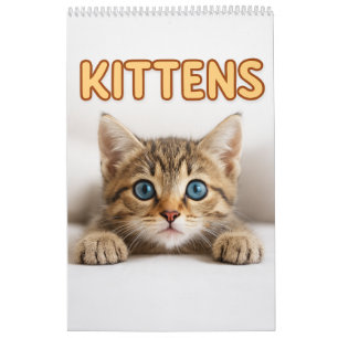 Calendrier Photographie de chat confortable   Mur de chat de 