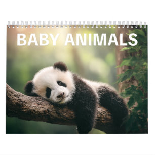 Calendrier Photographie de faune adorable   Mur de bébés anim