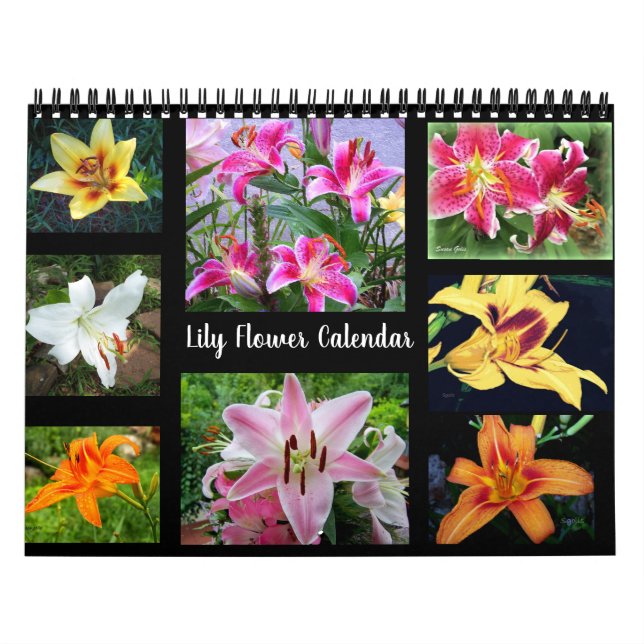 Calendrier Photographie de fleurs de lys (Protection)