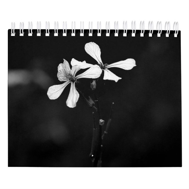 Calendrier Photographie de fleurs en noir et blanc (Protection)