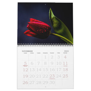 Calendrier Photographie de fleurs florales élégantes tulipe e