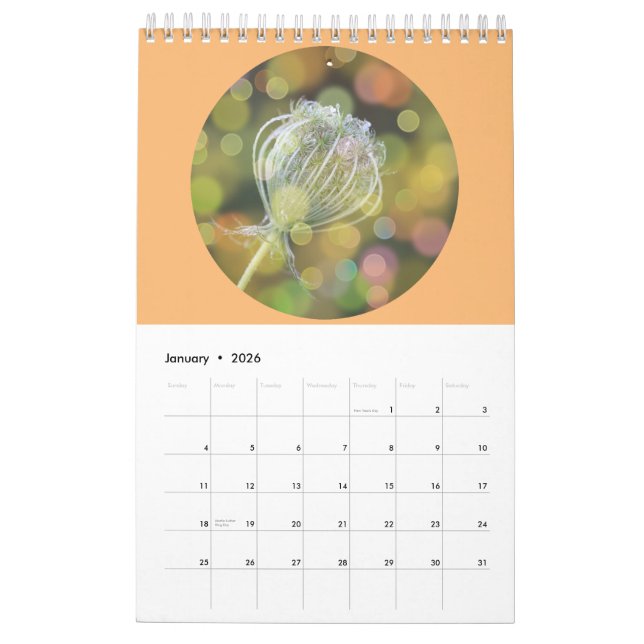 Calendrier Photographie de Fleurs sauvages (Jan 2026)
