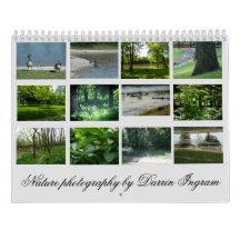 Photographie de la nature