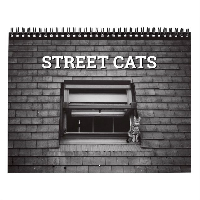 Calendrier Photographie de Street Cats (Protection)