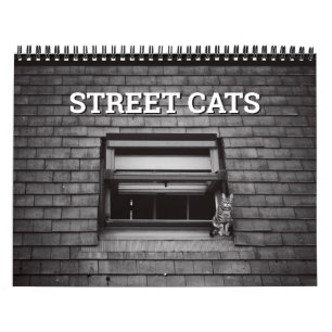 Calendrier Photographie de Street Cats