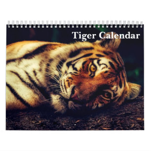 Calendrier Photographie de Tigre Animal Sauvage 2027
