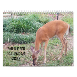 Calendrier Photographie de Wild Deer