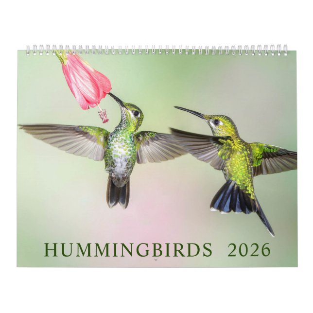 Calendrier Photographie des colibris 2023 (Protection)