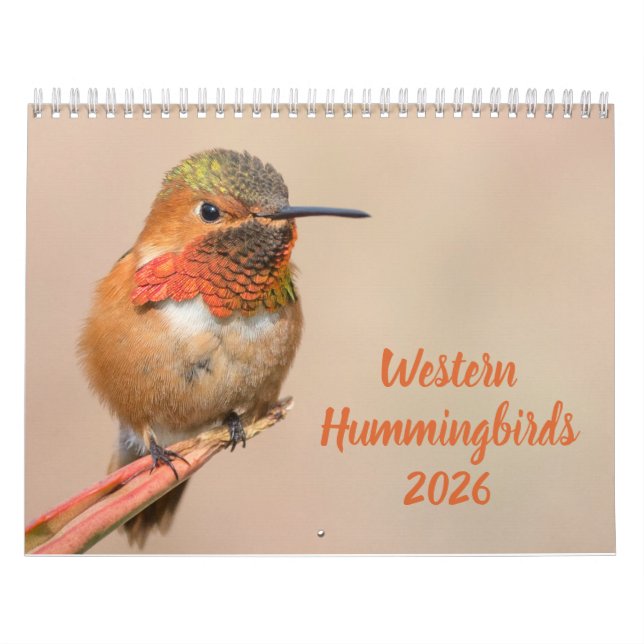 Calendrier Photographie des colibris occidentaux (Protection)