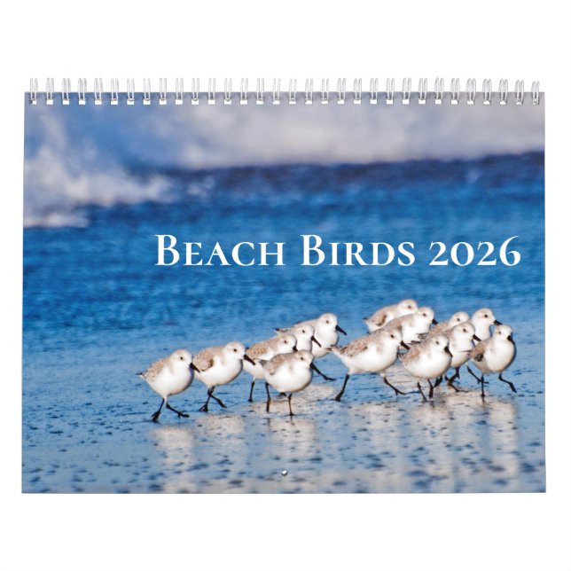 Calendrier Photographie des oiseaux de plage (Protection)