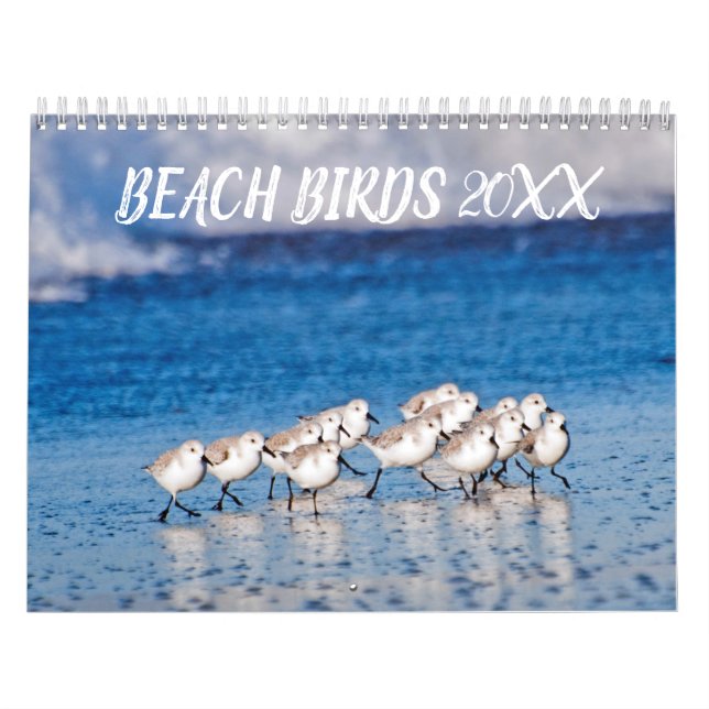 Calendrier Photographie des oiseaux de plage (Protection)