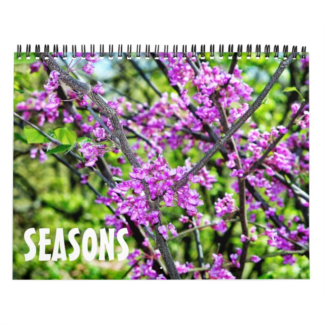 Calendrier Photographie des saisons changeantes  (Protection)