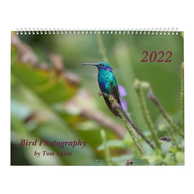 Calendrier Photographie d'oiseau par Tom Spine, 2022 (Protection)