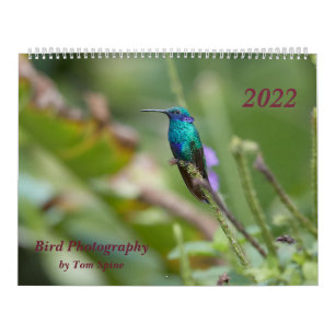 Calendrier Photographie d'oiseau par Tom Spine, 2022