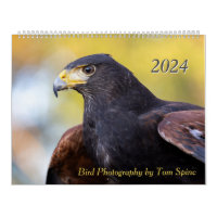 Photographie d'oiseaux par Tom Spine - 2024