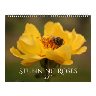Calendrier Photographie époustouflante de roses 2020
