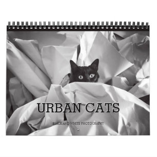 Calendrier Photographie noire et blanche de chats urbains