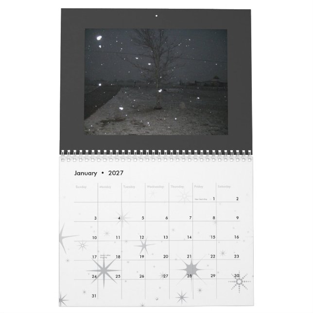 Calendrier Photographie punk 2009 (Jan 2027)