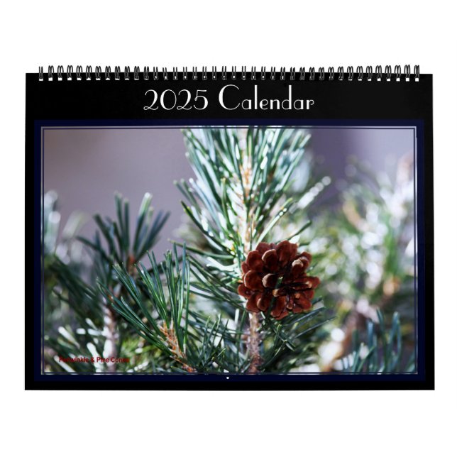 Calendrier Photographies de divers oiseaux dans un jardin. Ca (Protection)