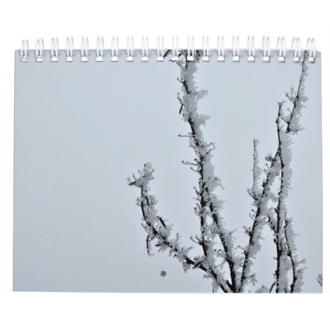 calendrier photographique (Dos)