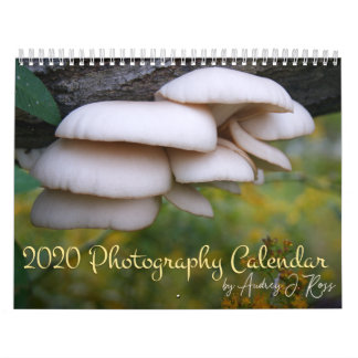 Calendrier photographique 2020
