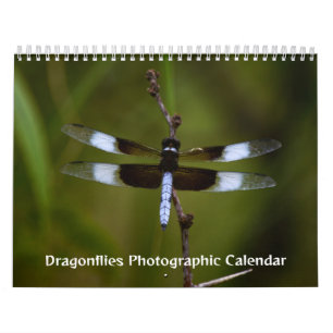 Calendrier photographique des libellules