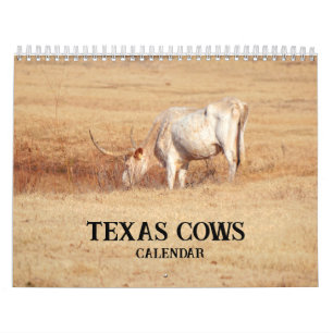 Calendrier photographique des vaches texanes