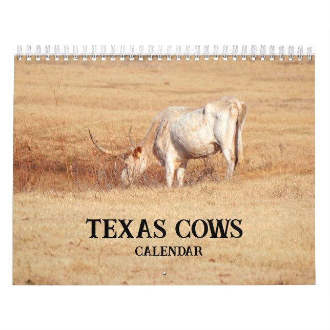 Calendrier photographique des vaches texanes (Protection)