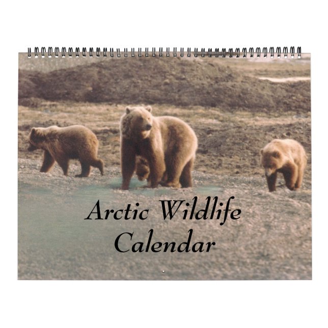 Calendrier Photos Classy Arctic Wildlife Alaska (Protection)
