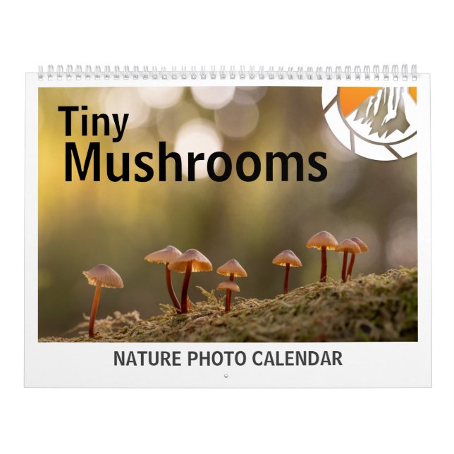 Calendrier Photos de champignons dans la nature 2027 (Protection)
