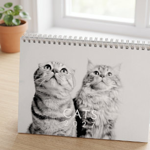Calendrier Photos de chatons drôles et mignons modernes