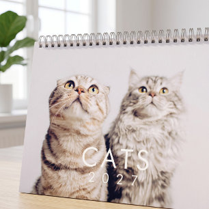 Calendrier Photos de chatons drôles et mignons modernes