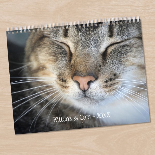 Calendrier Photos de chatons et chats mignons (Cute Kittens and Cats Pet Photo Calendar, in situ)