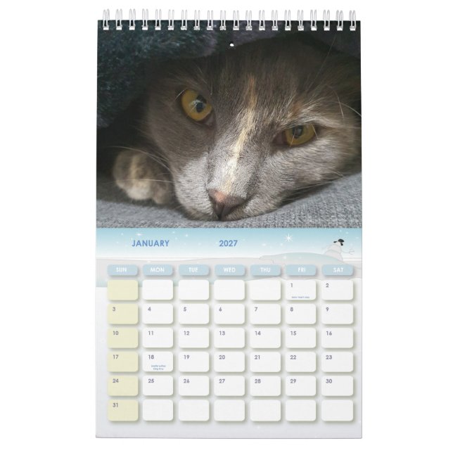Calendrier photos de chats gris mignons 2025 (Jan 2027)