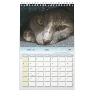 Calendrier photos de chats gris mignons 2025