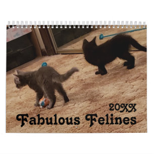 Calendrier Photos de chats mignonnes avec des paroles amusant