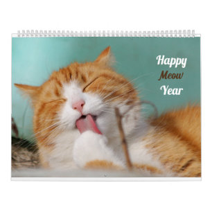 Calendrier Photos de chats mignons et drôles Chats adorables 