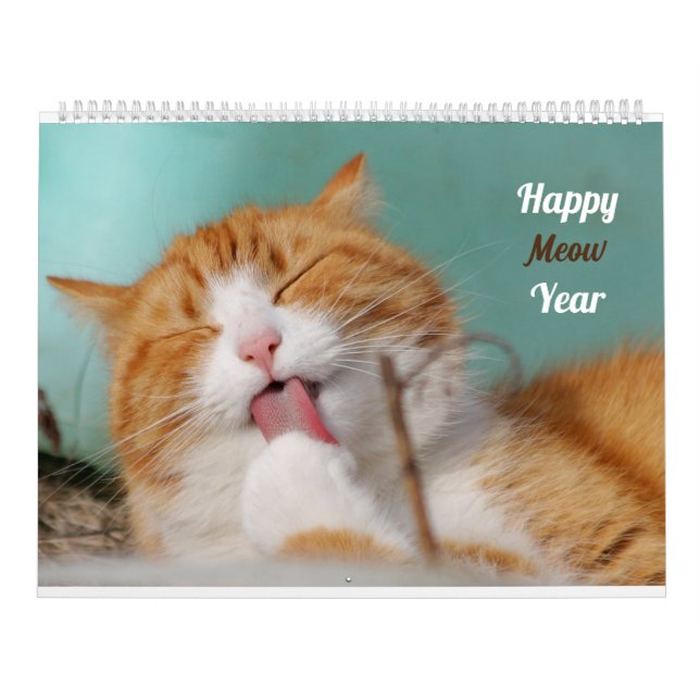 Calendrier Photos de chats mignons et drôles Chats adorables  (Protection)