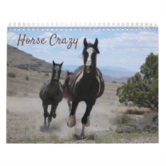 Calendrier Photos de chevaux pour les amateurs de chevaux (Protection)
